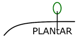 Plantar