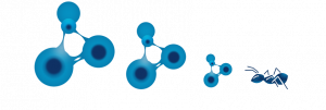 ANT logo web borde